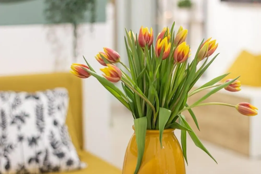 Airport Area Apartment With Free Parking Boloňa Itálie